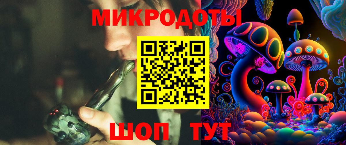 продажа наркотиков  Галлюциногенные грибы GOLDEN TEACHER  Вход с VPN  Псилоцибиновые грибы Psilocybe  Новозыбков 